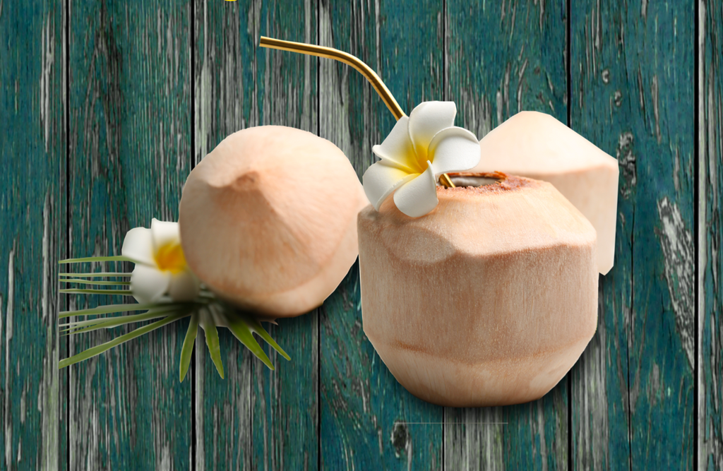 Coconut Series